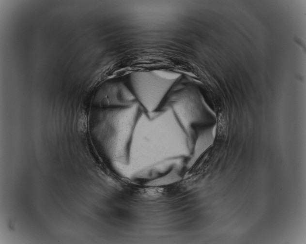 X0000091210474200709061443