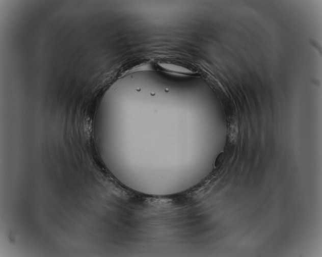 X0000091210476200709061443