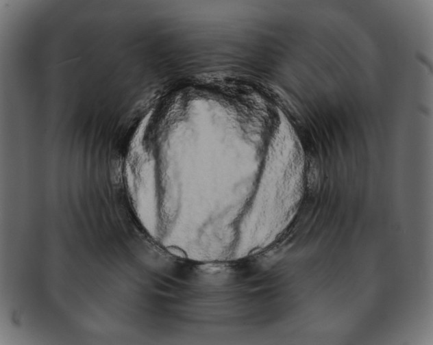 X0000091210477200709061443