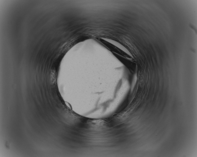 X0000091210478200709061443