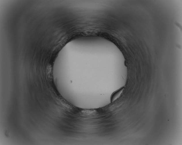 X0000091210480200709061443