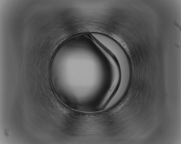 X0000091210481200709061443