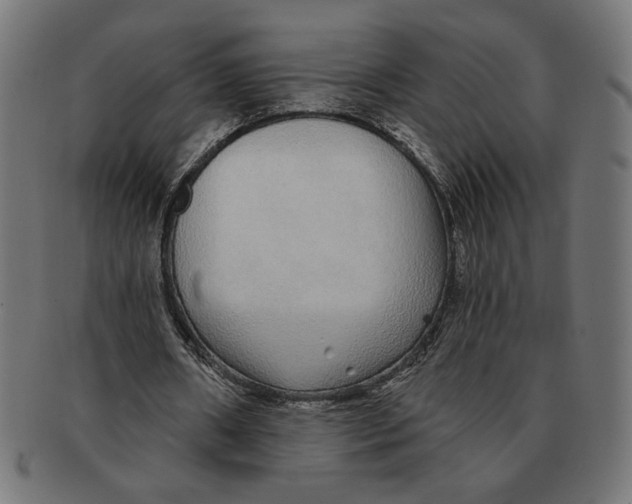 X0000091210482200709061443