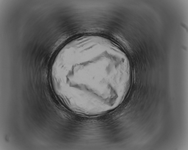 X0000091210483200709061442