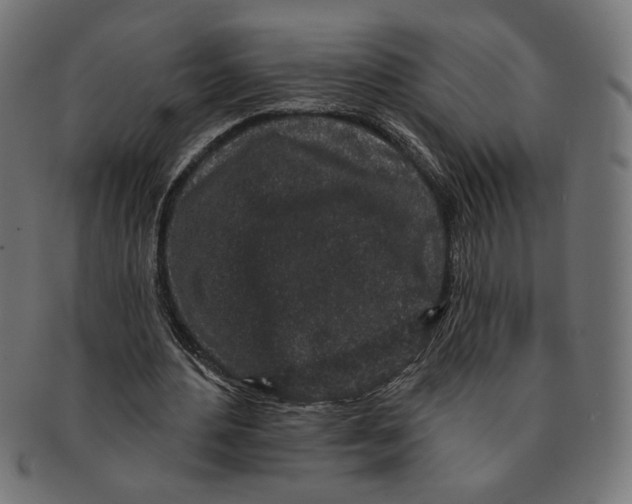 X0000091210484200709061442