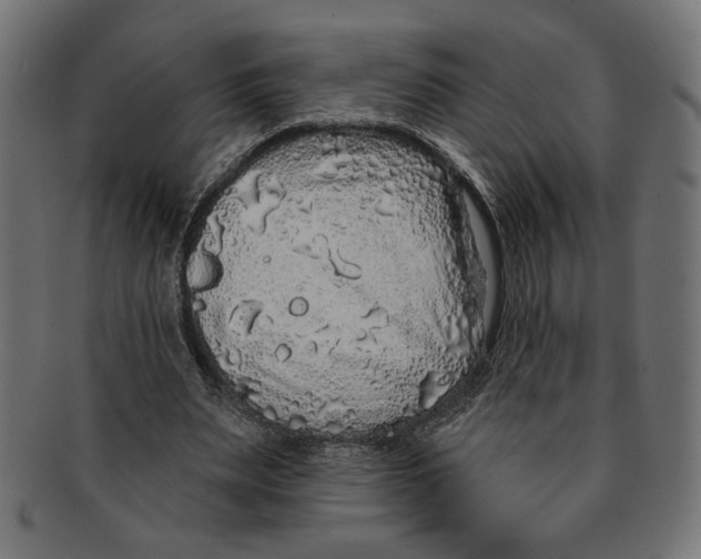 X0000091210487200709061442