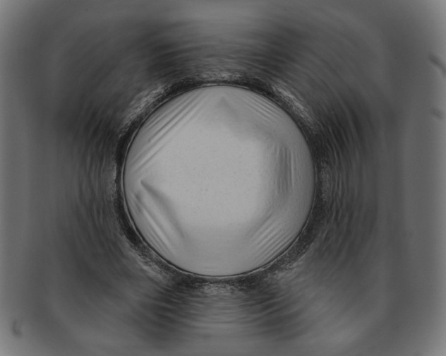 X0000091210490200709061442