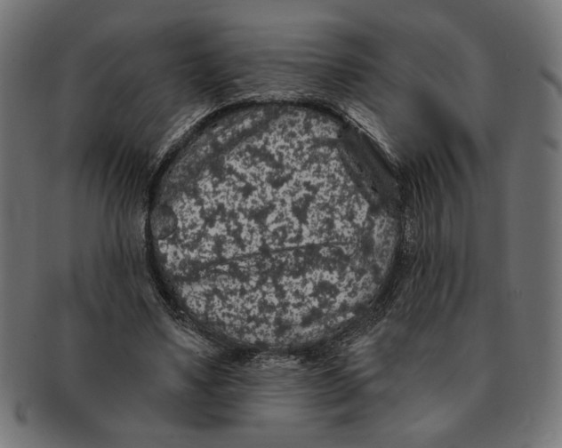 X0000091210491200709061442