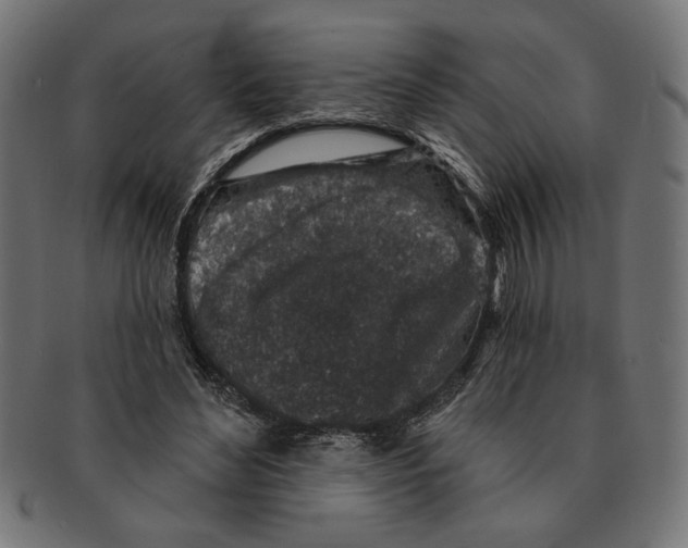 X0000091210492200709061442