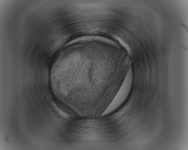 X0000091210493200709061442