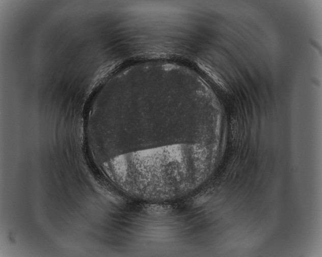 X0000091210494200709061442