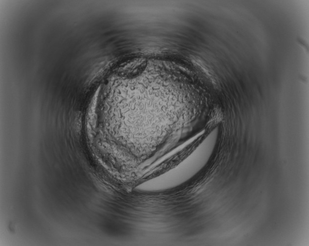 X0000091210495200709061442