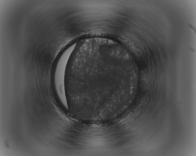 X0000091210496200709061442