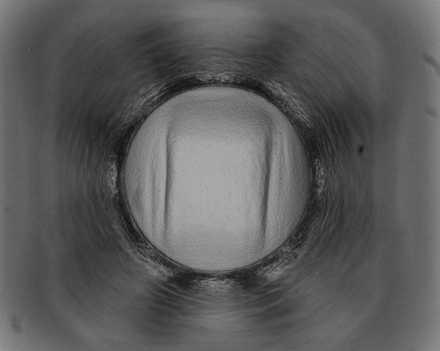 X0000091210498200709061442