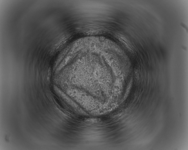 X0000091210499200709061442