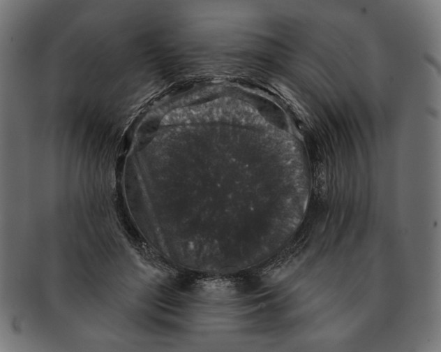 X0000091210500200709061442