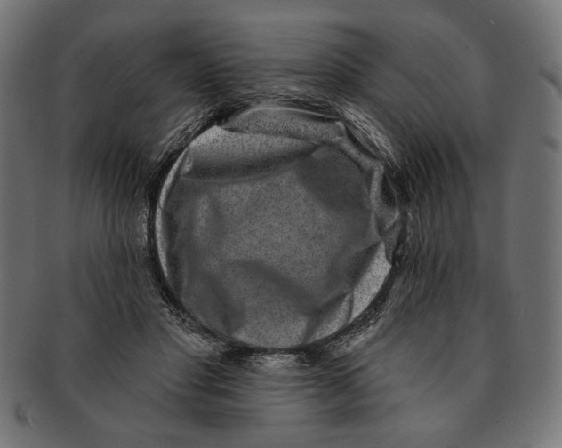 X0000091210501200709061442