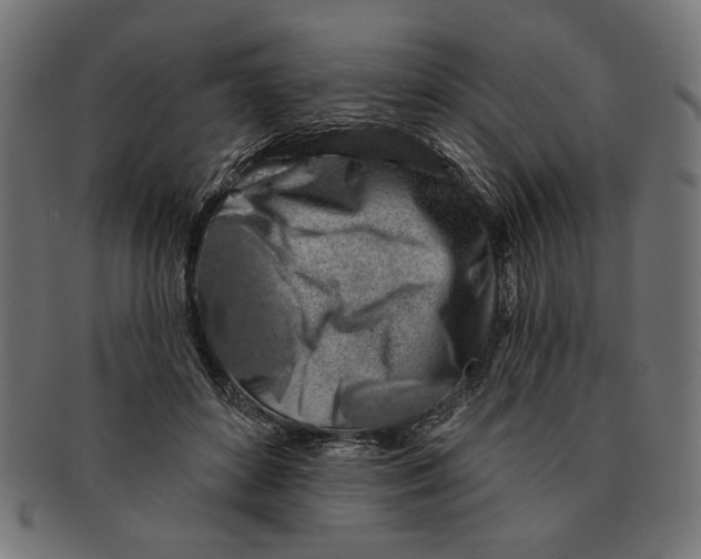 X0000091210504200709061442