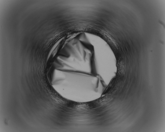 X0000091210505200709061442