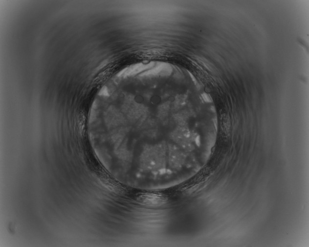 X0000091210507200709061442