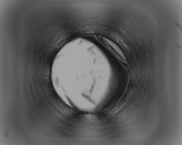 X0000091210509200709061442