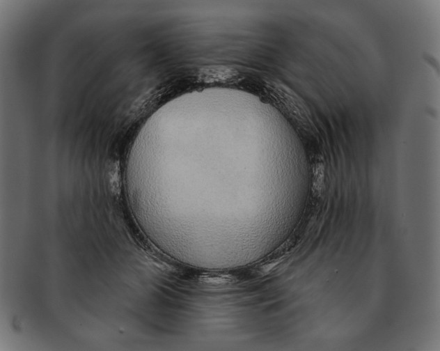 X0000091210510200709061442