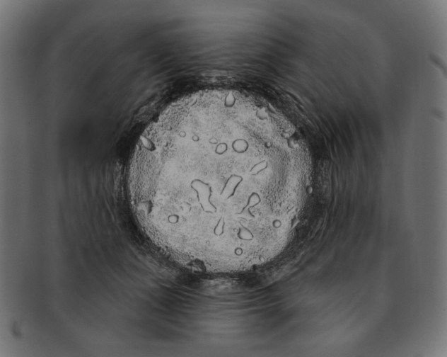 X0000091210511200709061442