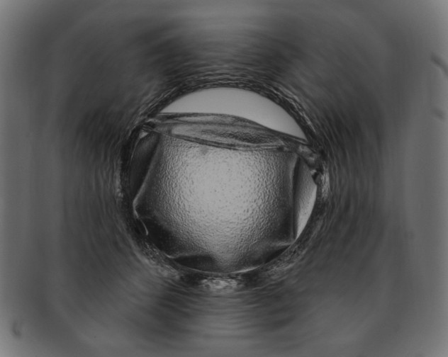 X0000091210512200709061442