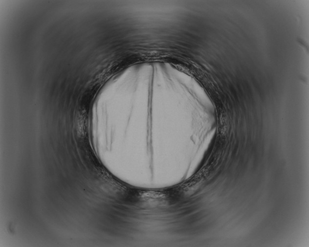 X0000091210515200709061442