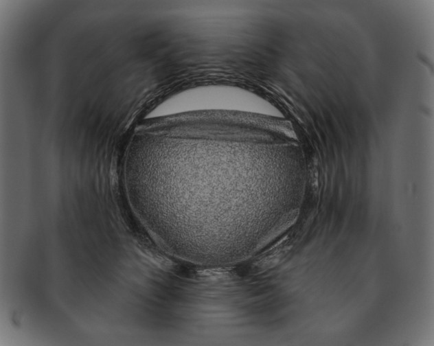 X0000091210516200709061442