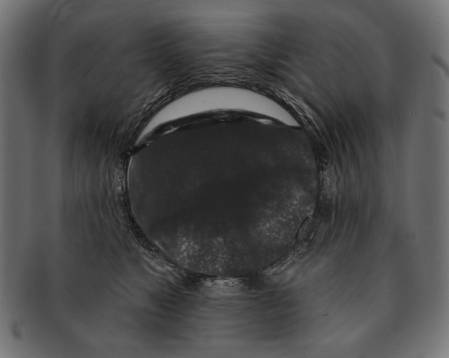 X0000091210517200709061442