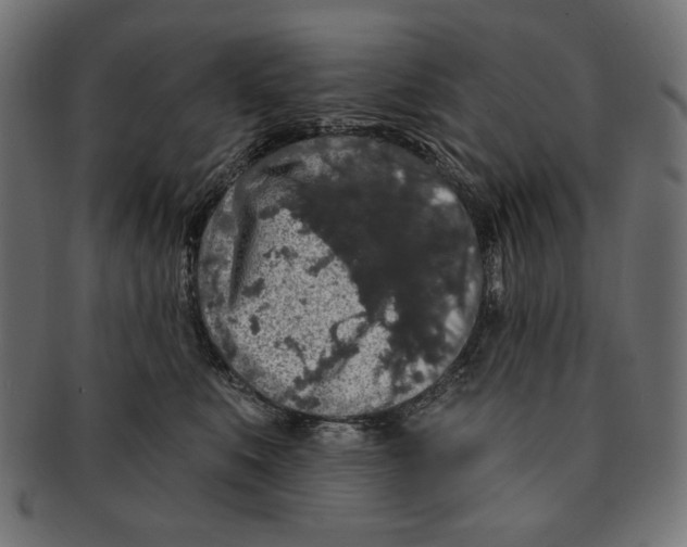 X0000091210519200709061442