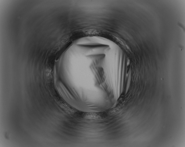 X0000091210521200709061442