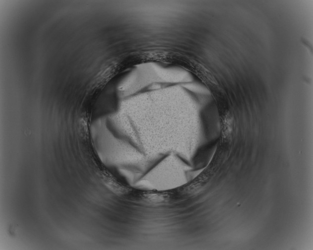 X0000091210522200709061442