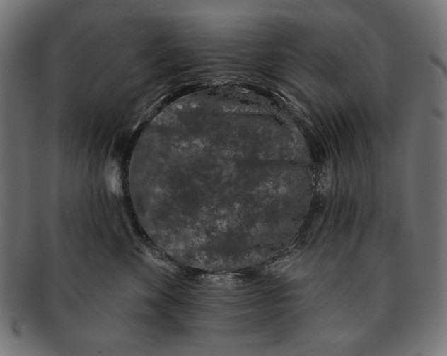 X0000091210524200709061442