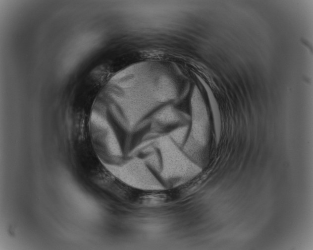 X0000091210525200709061442