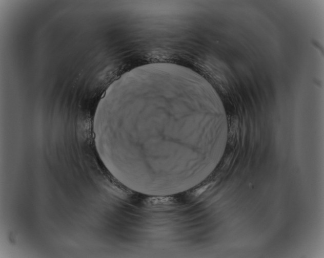 X0000091210526200709061442