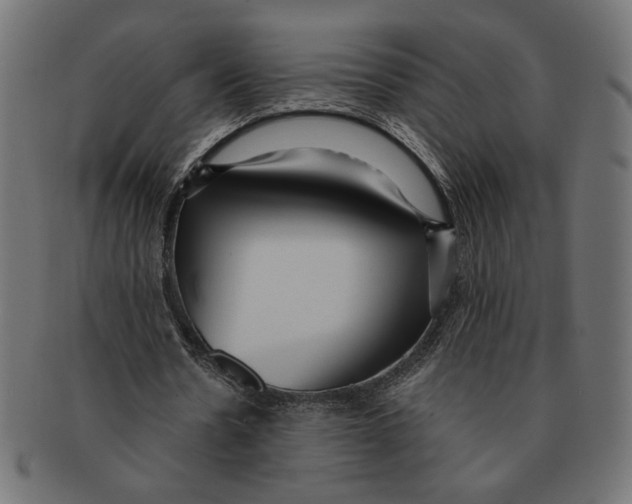 X0000091210530200709061441