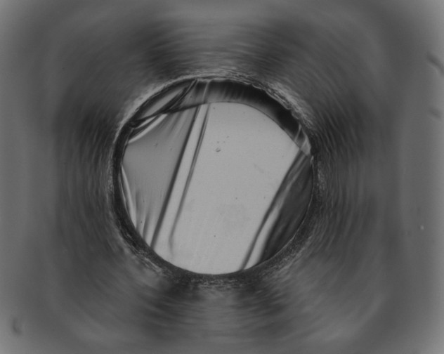 X0000091210532200709061441