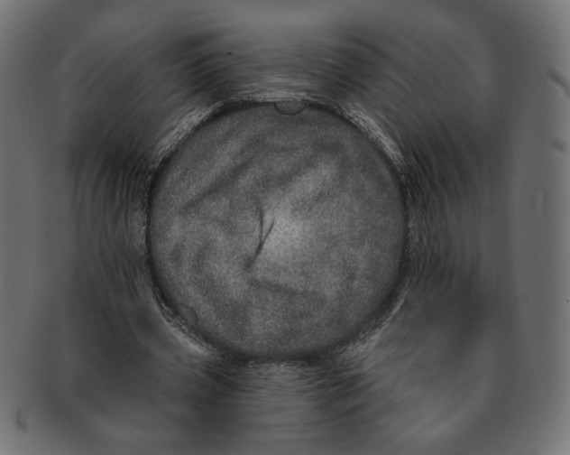 X0000091210533200709061441