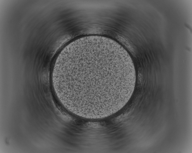 X0000091210534200709061441