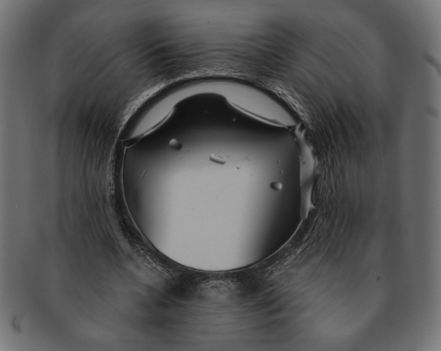 X0000091210536200709061441