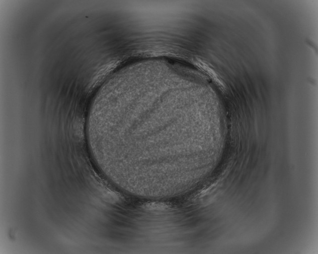 X0000091210537200709061441