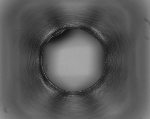 X0000091210538200709061441