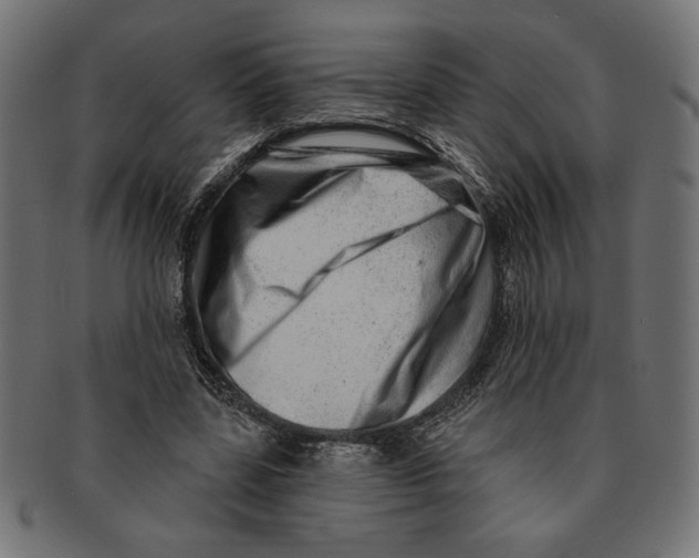 X0000091210539200709061441