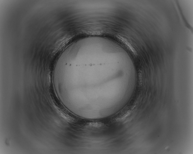 X0000091210541200709061441