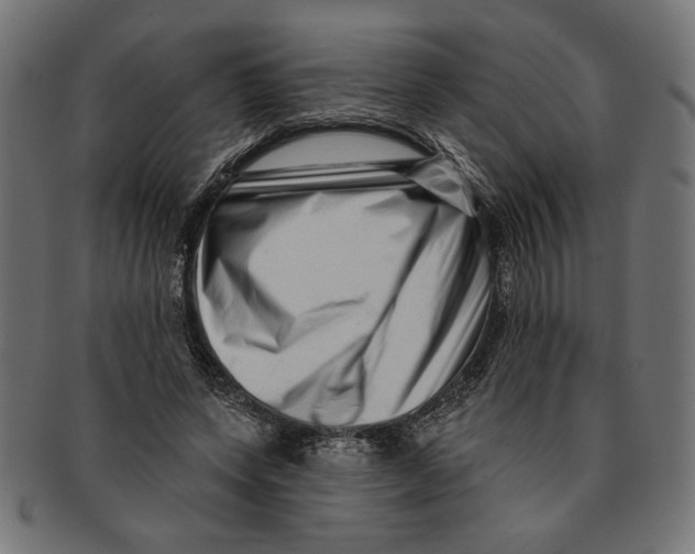 X0000091210543200709061441