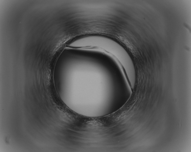 X0000091210544200709061441