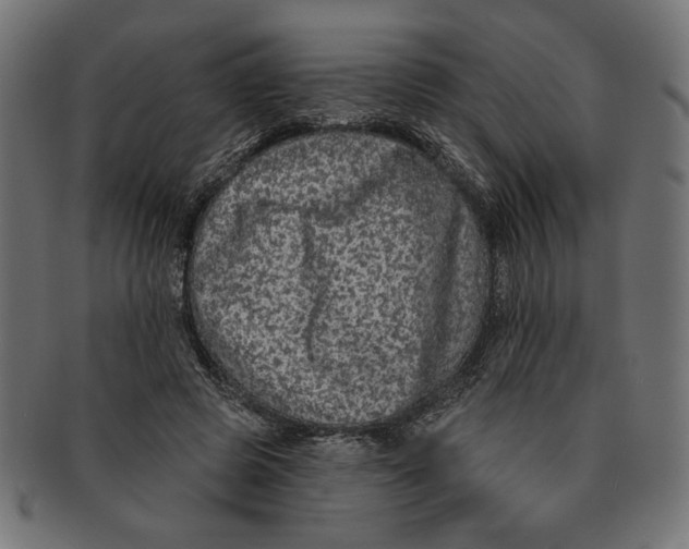 X0000091210545200709061441