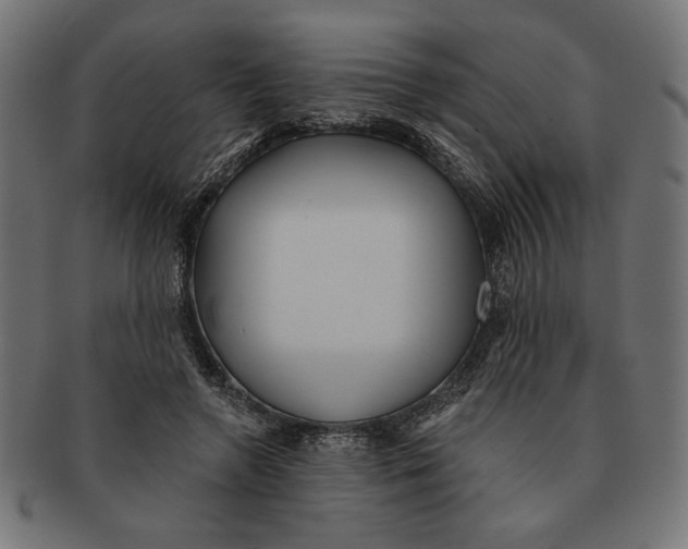 X0000091210546200709061441